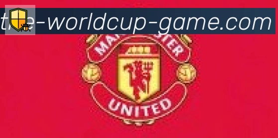 FIFA世界杯买球入口合作伙伴