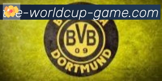 FIFA世界杯买球入口合作伙伴