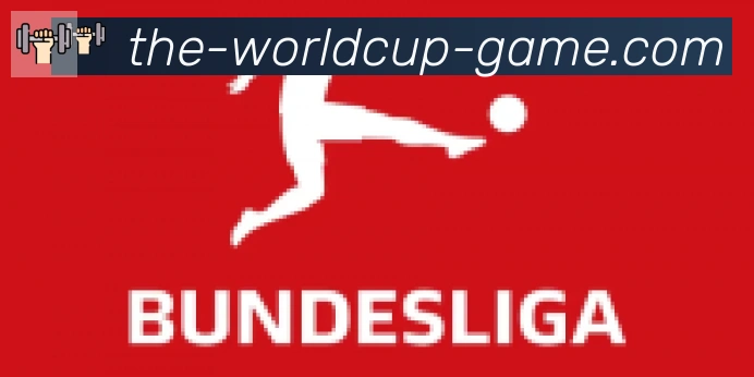 FIFA世界杯买球入口合作伙伴